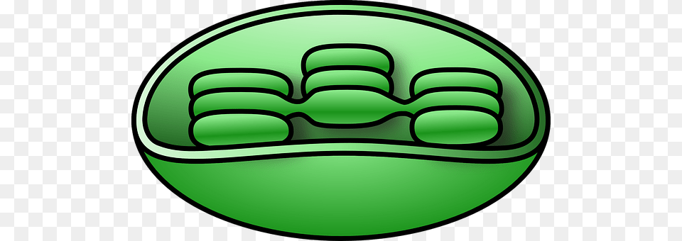Chloroplast Green, Sphere, Disk Png