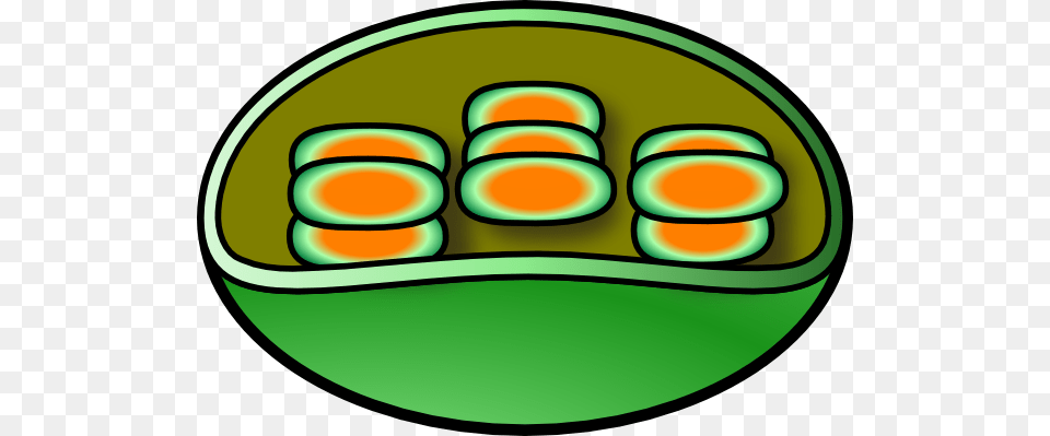 Chloroplast Clip Art, Disk, Food, Meal, Egg Free Png
