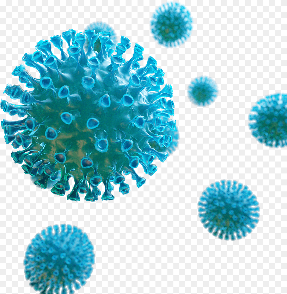Chloroquine And Coronavirus Virus Corona, Turquoise, Sphere, Animal, Sea Life Png