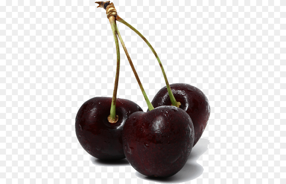 Chock Full Of Cherriesimg Vino Mac Lip Liner, Cherry, Food, Fruit, Plant Png Image