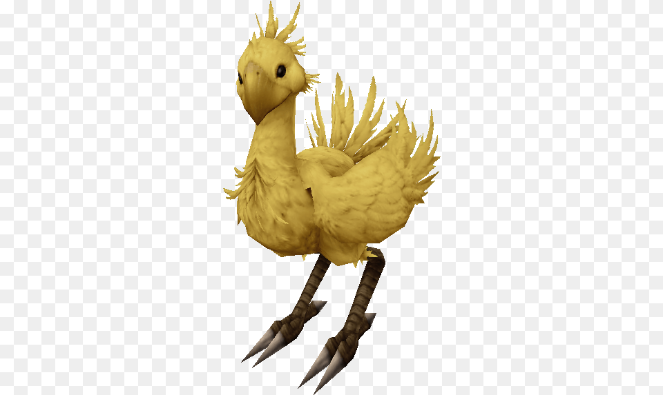 Chocobo Final Fantasy Animals Chocobo, Animal, Beak, Bird Free Png