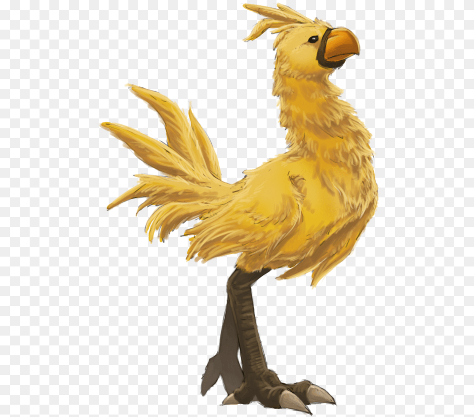 Chocobo Finalfantasy Bird Freetoedit Bird Videogameyellow Fantasy Bird, Animal, Beak Free Transparent Png