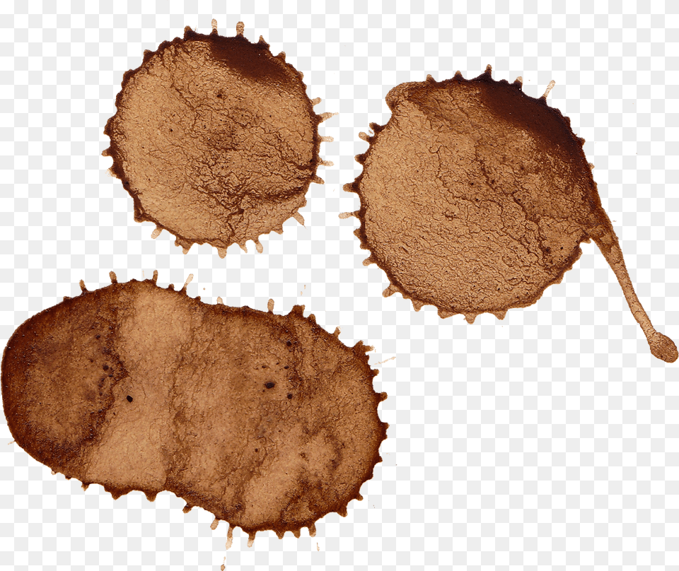 Chocolate, Fungus, Plant, Cutlery, Spoon Png