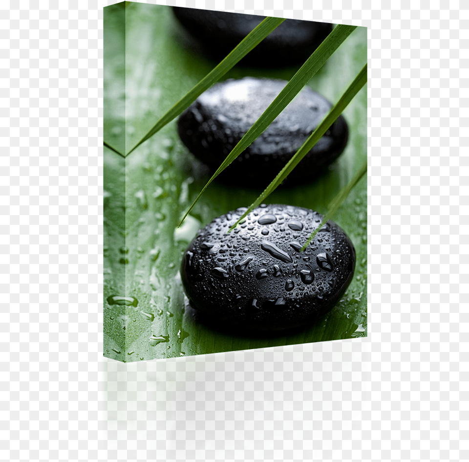 Chocolate, Pebble, Leaf, Plant Png Image