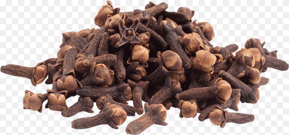 Chocolate, Food Free Png Download