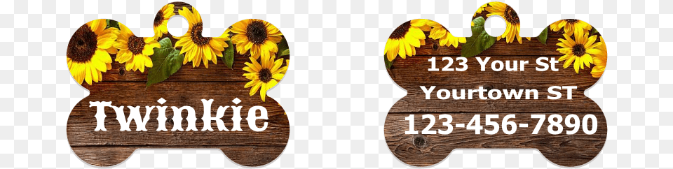 Chocolate, Flower, Plant, Sunflower, Leaf Free Png Download