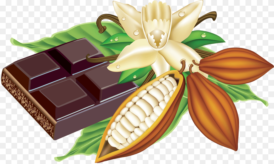 Chocolate, Text, Logo Png