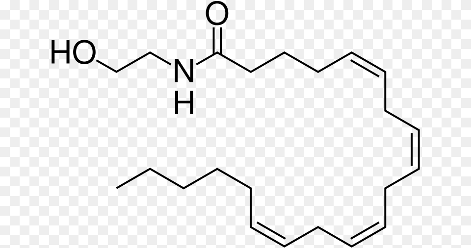 Chocolate Cannabis Or Enlightenment Anandamide Molecule, Gray Png Image