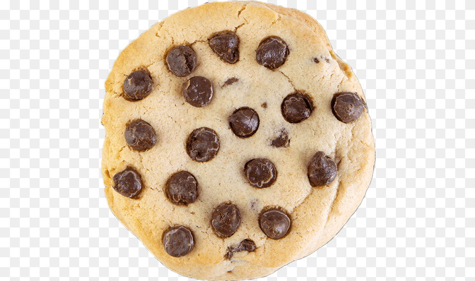 Chocolate Chip Cookie, Food, Sweets, Teddy Bear, Toy Free Png Download