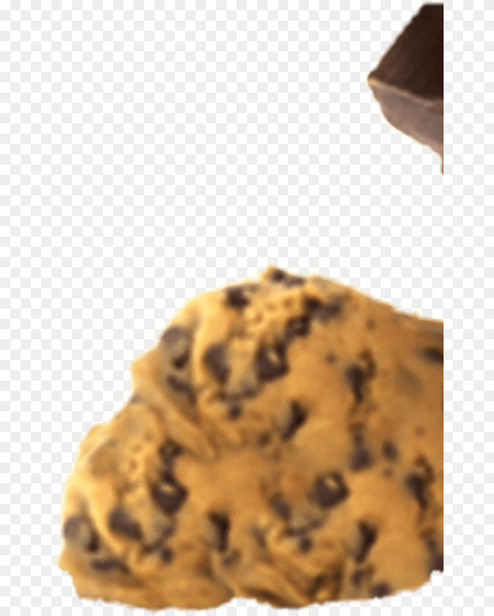 Chocolate Cookie Dough Chocolate Chip Cookie, Food, Sweets, Animal, Mammal Free Transparent Png