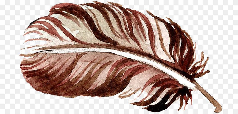 Chocolate Feather Transparent Free Flower, Accessories, Leaf, Plant, Jewelry Png