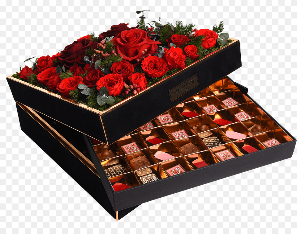 Chocolate Floribunda, Flower, Flower Arrangement, Flower Bouquet, Plant Free Transparent Png