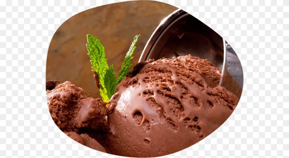 Chocolate Ice Cream Scoop Probiotic Ice Cream, Dessert, Food, Ice Cream, Frozen Yogurt Free Transparent Png