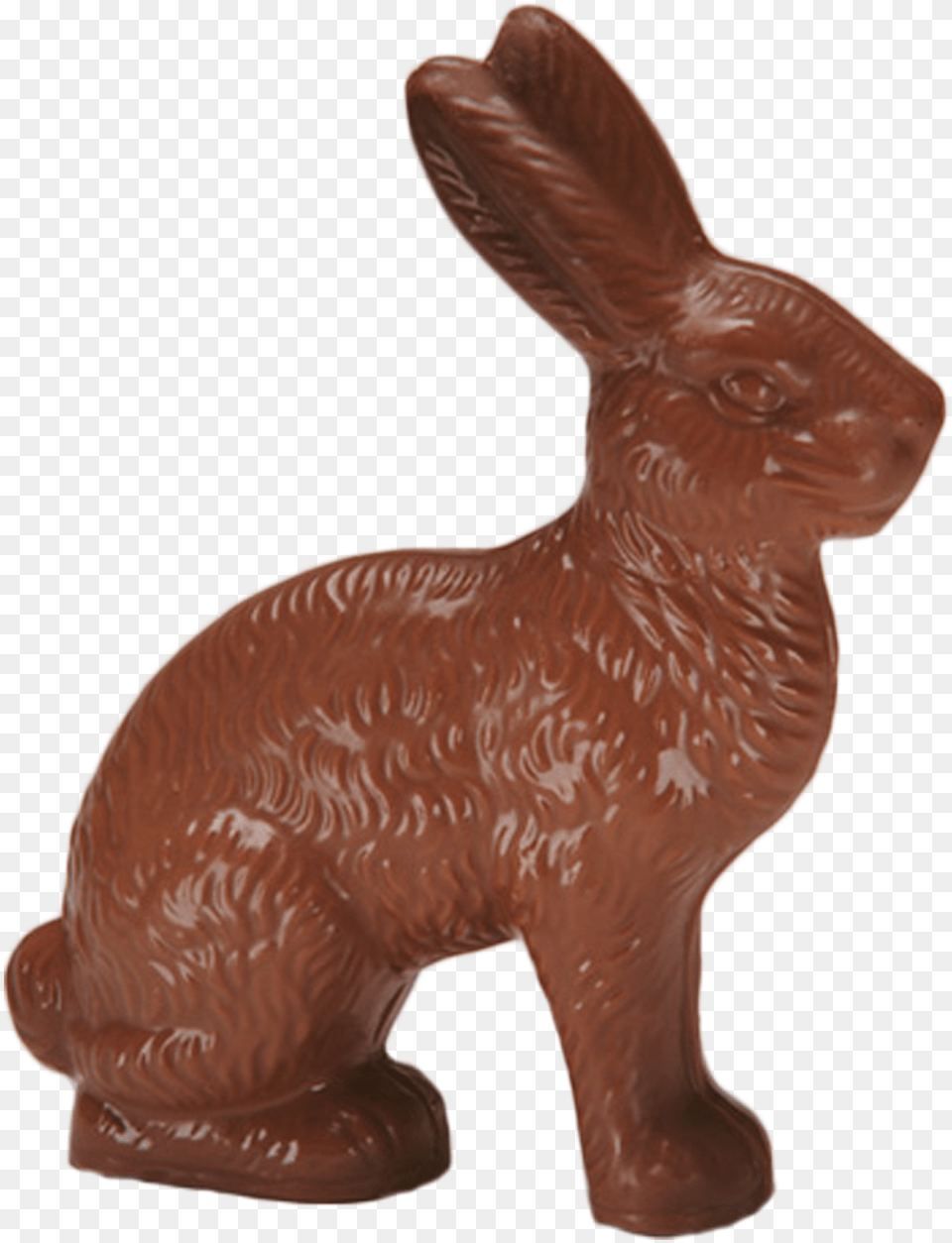 Chocolate Jack Rabbit Large Domestic Rabbit, Animal, Hare, Mammal, Rodent Png