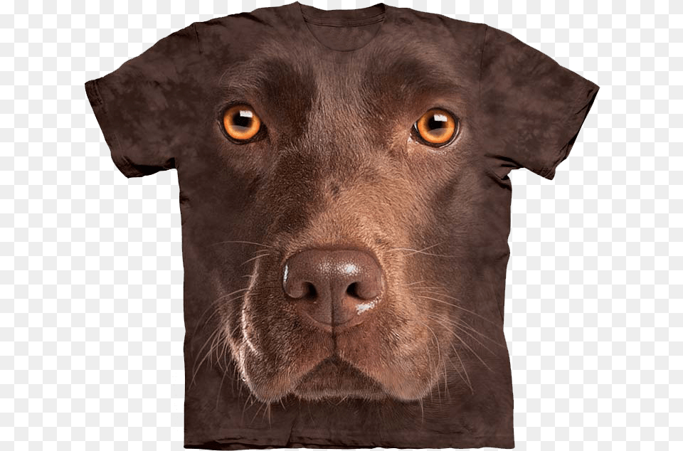 Chocolate Labrador T Shirt, Animal, Canine, Dog, Labrador Retriever Free Transparent Png