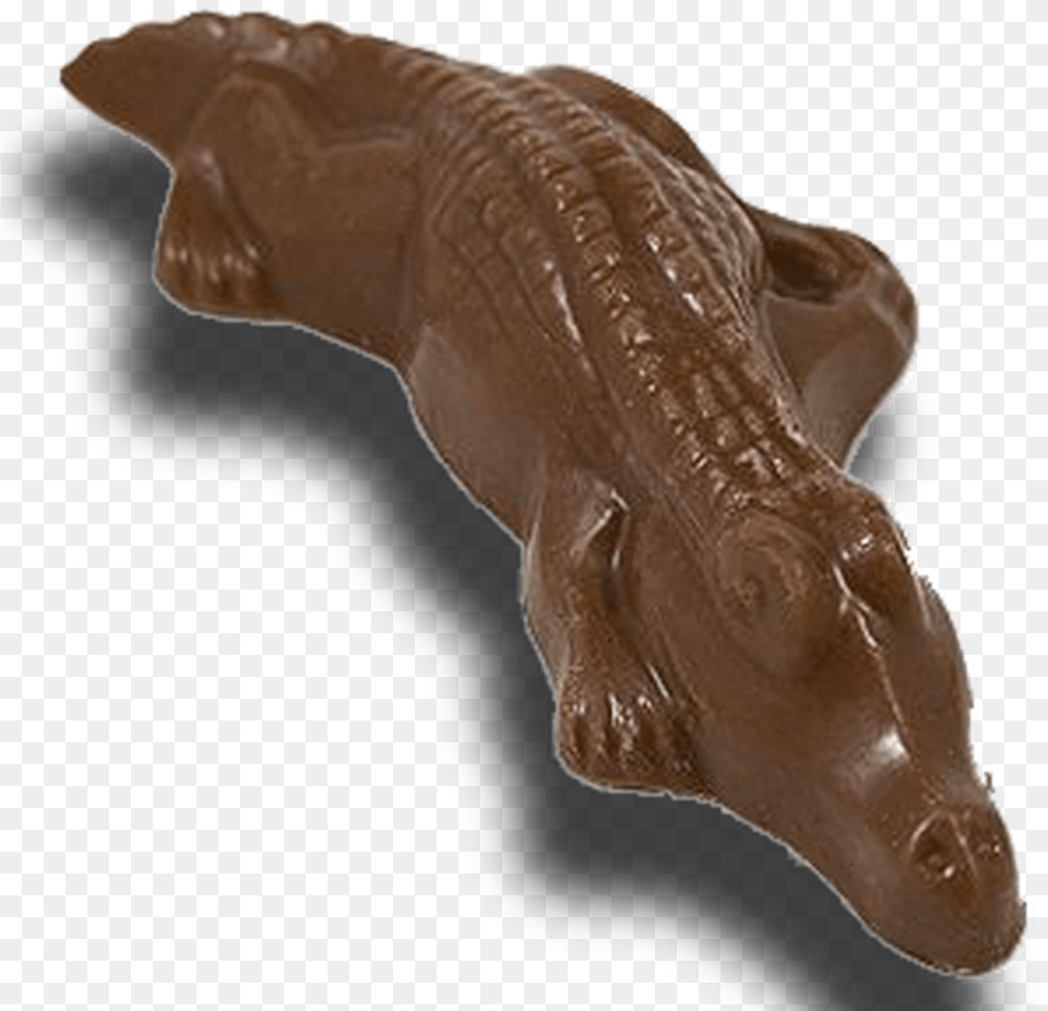 Chocolate Mini Gator Chocolate, Bronze, Person Free Png Download