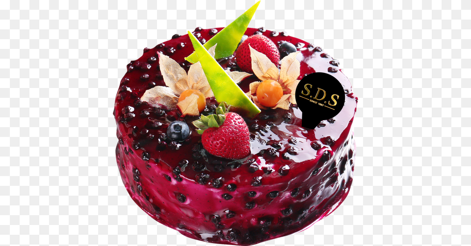 Chocolate Sponge With Blueberry Chocolate Mousse Chocolate, Berry, Produce, Plant, Fruit Free Png