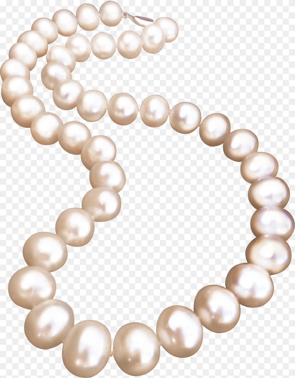 Choker Necklace, Accessories, Jewelry, Pearl, Bracelet Png Image