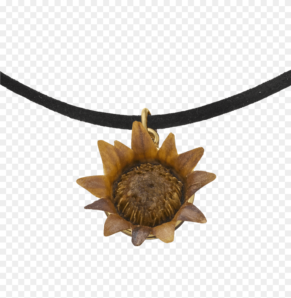 Choker Necklace With Blessing Flower Locket, Accessories, Jewelry, Animal, Fish Free Transparent Png