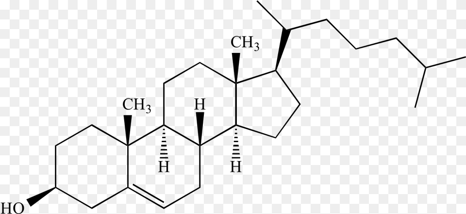 Cholesterol Chemistry, Gray Free Png Download