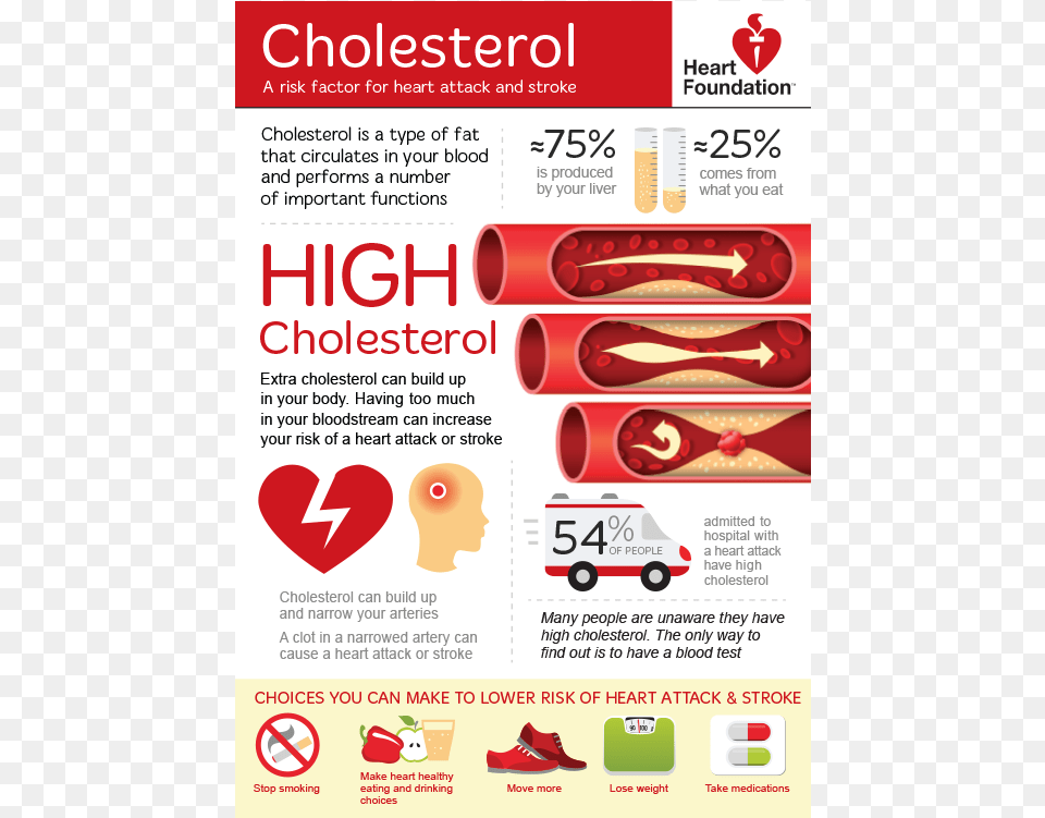 Cholesterol Patient Education, Advertisement, Poster, Clothing, Dynamite Free Transparent Png