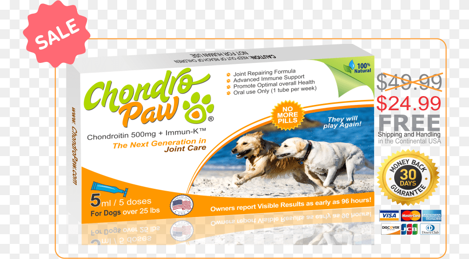 Chondropaw For Dogs Over 25lbs Synoquin Large Breed 120 Efa Large Breed Tablets, Advertisement, Animal, Canine, Dog Png Image