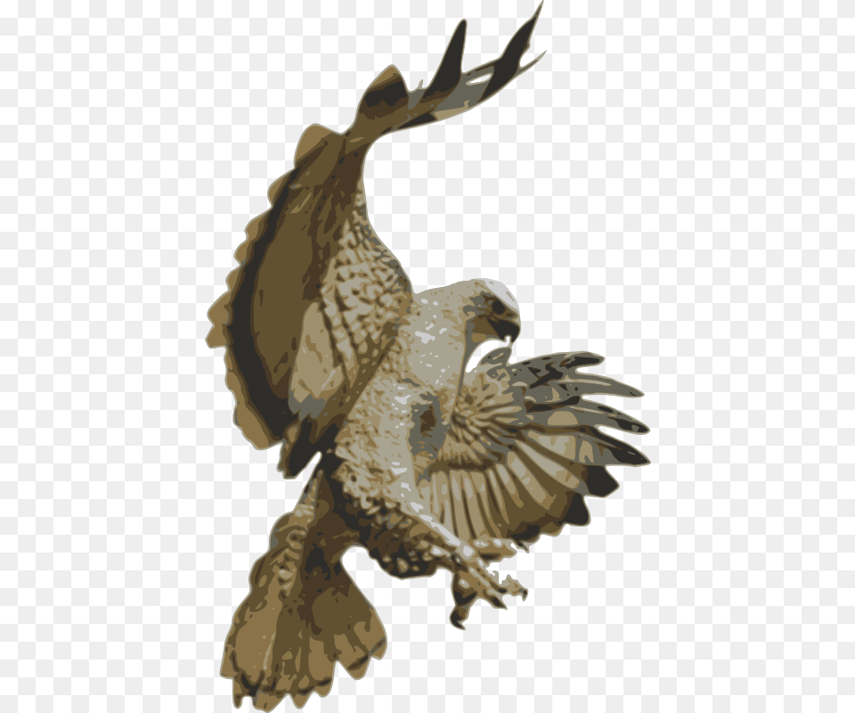 Choochus Hawk Pouncing, Animal, Bird, Buzzard, Vulture Free Png Download