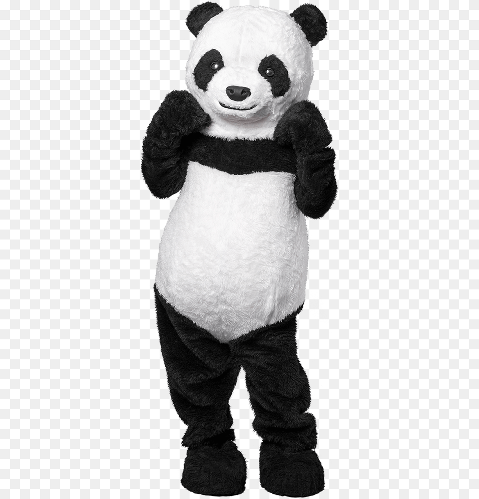 Choose Costume Panda Costume, Animal, Bear, Mammal, Wildlife Png Image