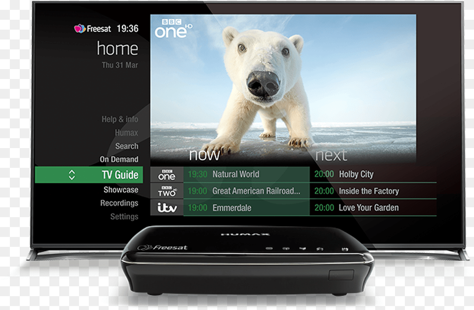 Choose From Our Range Of Smart Freesat Boxes Or Tvs Sat Tv Huawei, Animal, Mammal, Bear, Wildlife Free Transparent Png