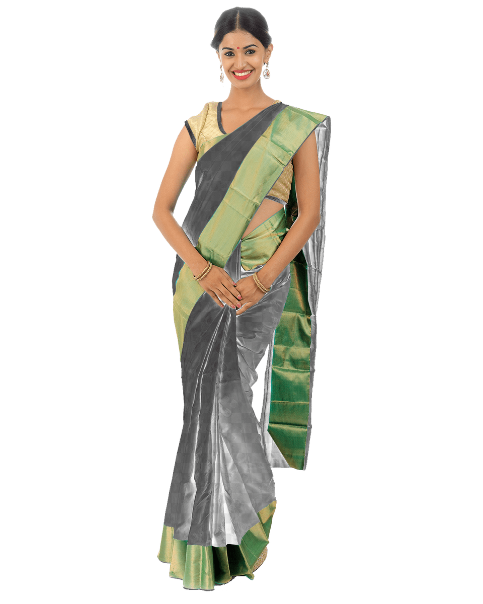 Choose Your Own Color Sari, Adult, Female, Person, Silk Free Transparent Png