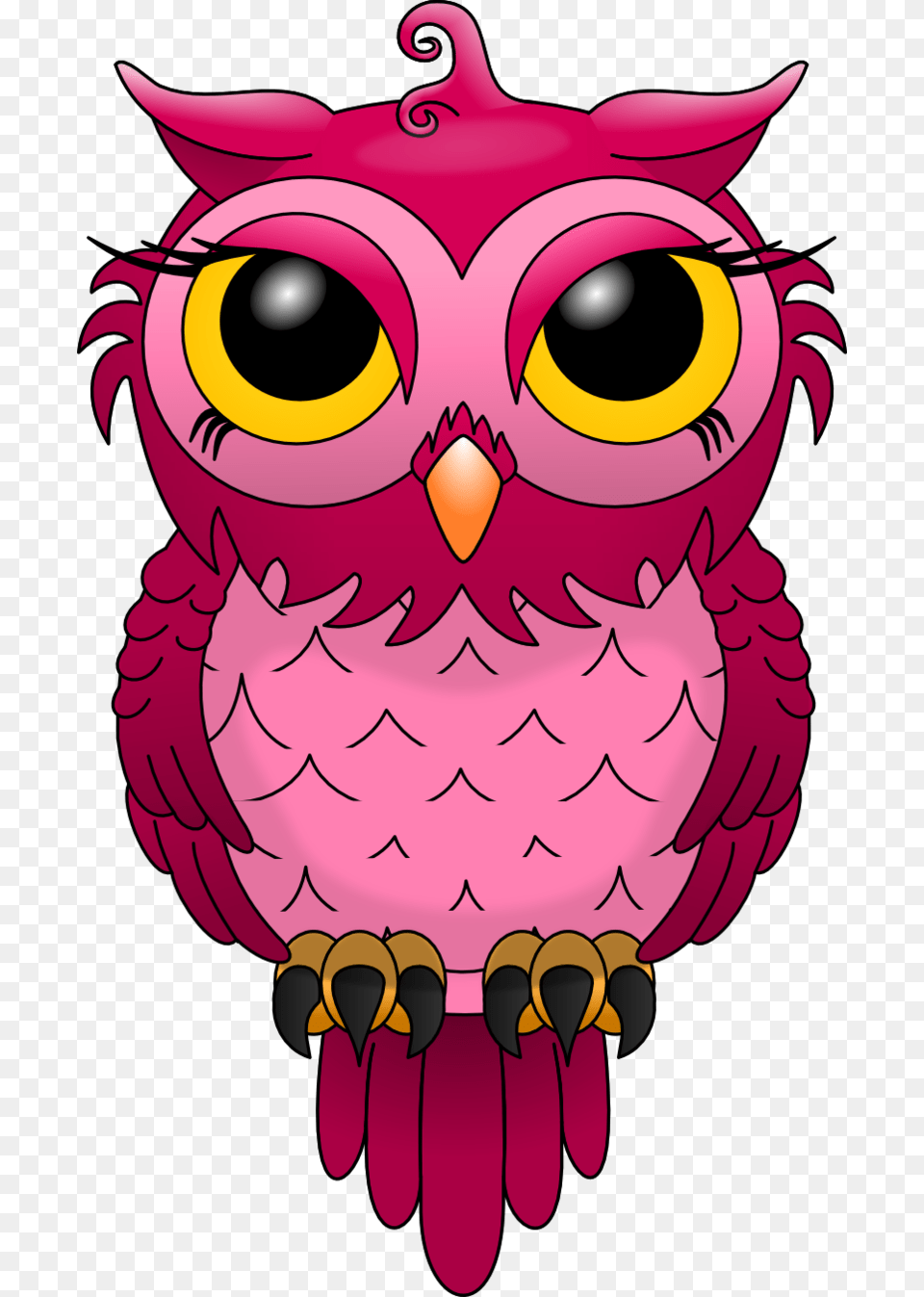 Chouette Les Chouettes Owl, Baby, Person, Pinata, Toy Png Image