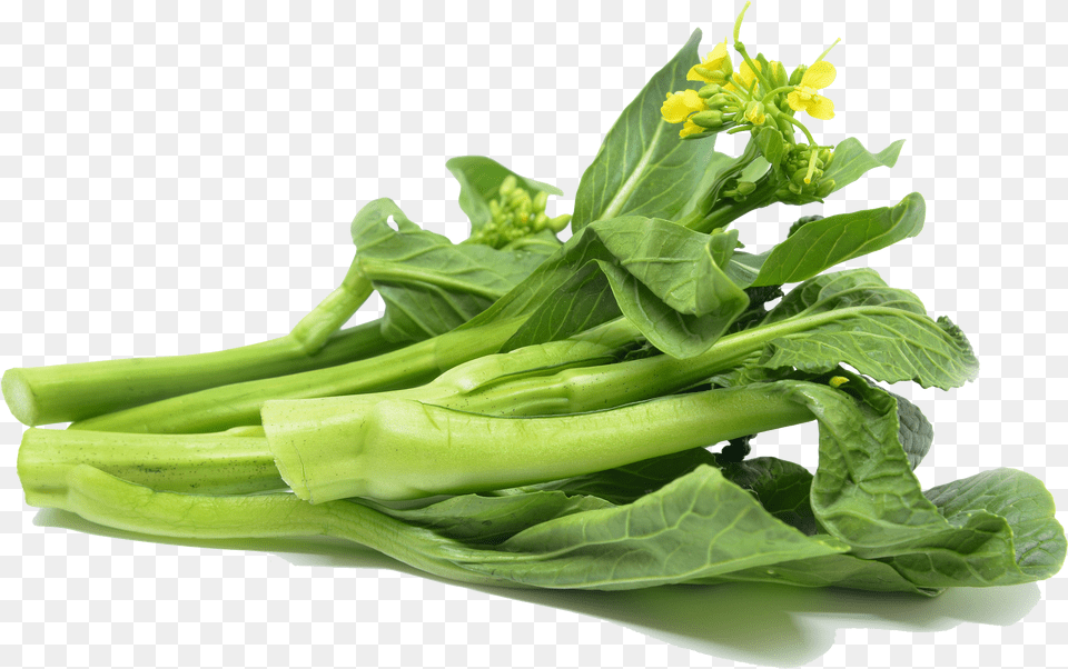 Choy Sum, Food, Produce, Plant, Leafy Green Vegetable Free Png Download