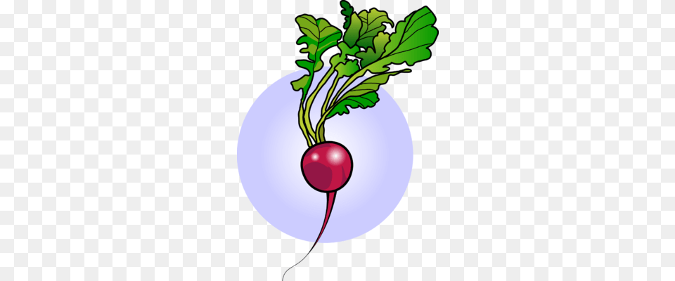 Chris Clipart, Food, Produce, Plant, Radish Free Png Download