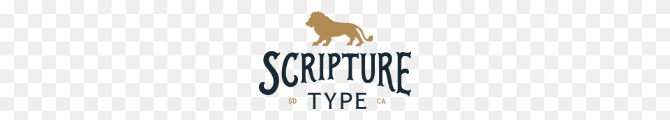 Chris Wright Scripture Type, Animal, Lion, Mammal, Wildlife Png