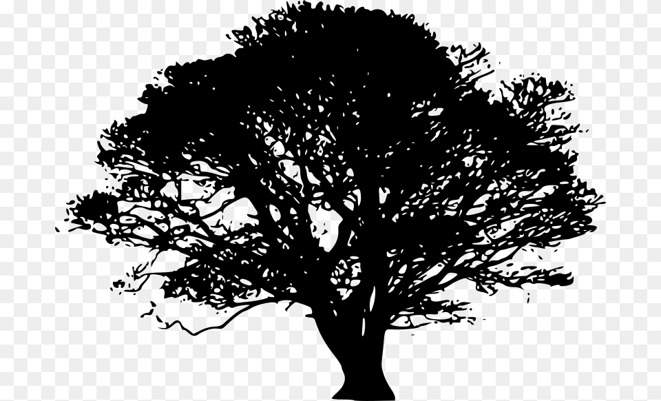 Chrisdesign Tree Silhouettes, Gray Png