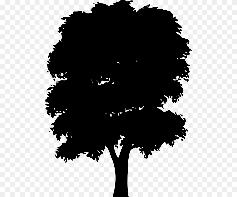 Chrisdesign Tree Silhouettes, Gray Png