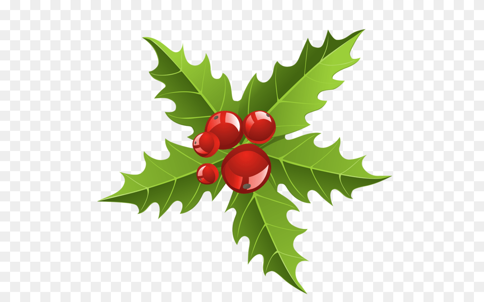 Chrismtmas Mistletoe Element, Leaf, Plant, Food, Fruit Free Png Download