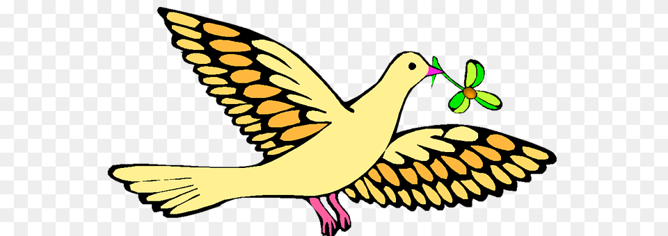 Christian Animal, Bird, Dove, Pigeon Free Png