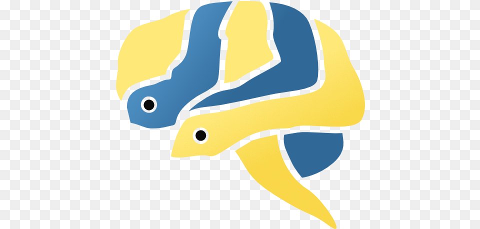 Christian Brodbeck Fish, Helmet, Baby, Person, Animal Free Png