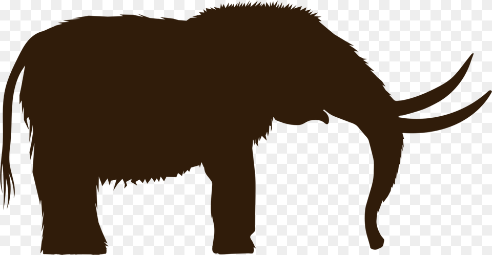 Christian Clip Art Woolly Mammoth Mastodon Drawing Elephants Free, Animal, Mammal, Wildlife Png