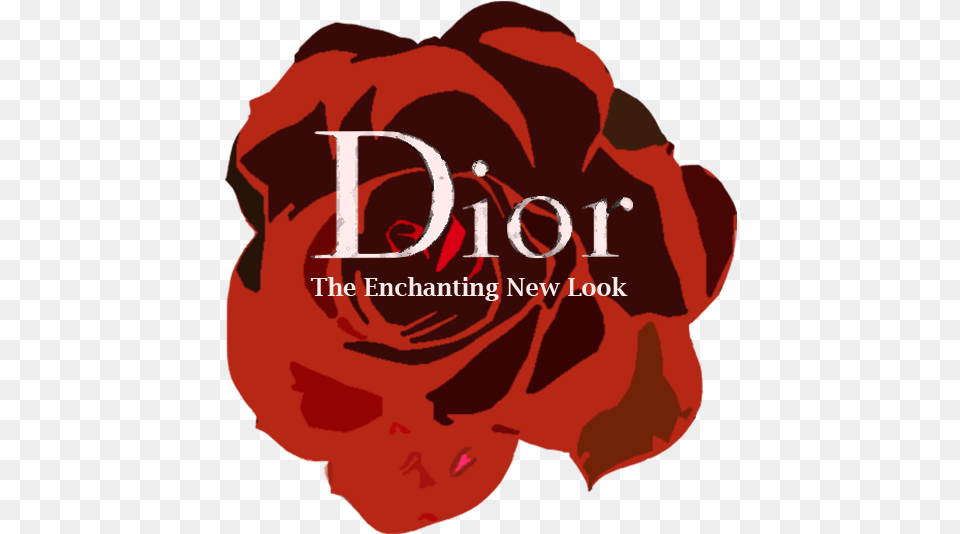 Christian Dior Exhibition Christian Dior Logo, Flower, Petal, Plant, Rose Free Png Download