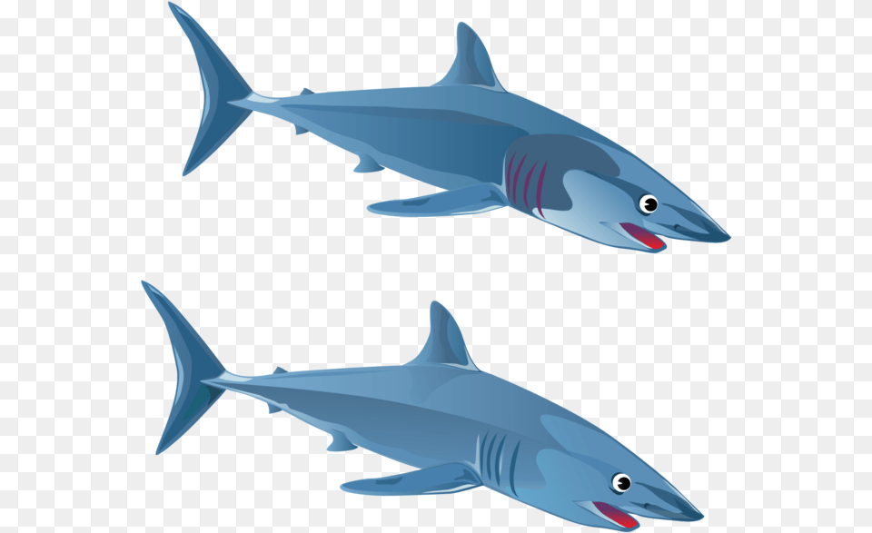Christian Fish Clipart Vector Clip Art Online Royalty 2 Sharks Clipart, Animal, Sea Life, Shark, Tuna Free Png Download