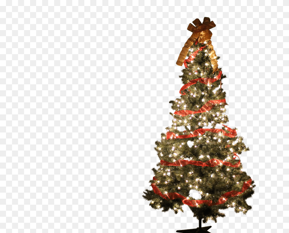 Christmas Clip, Christmas Decorations, Festival, Christmas Tree, Plant Png Image