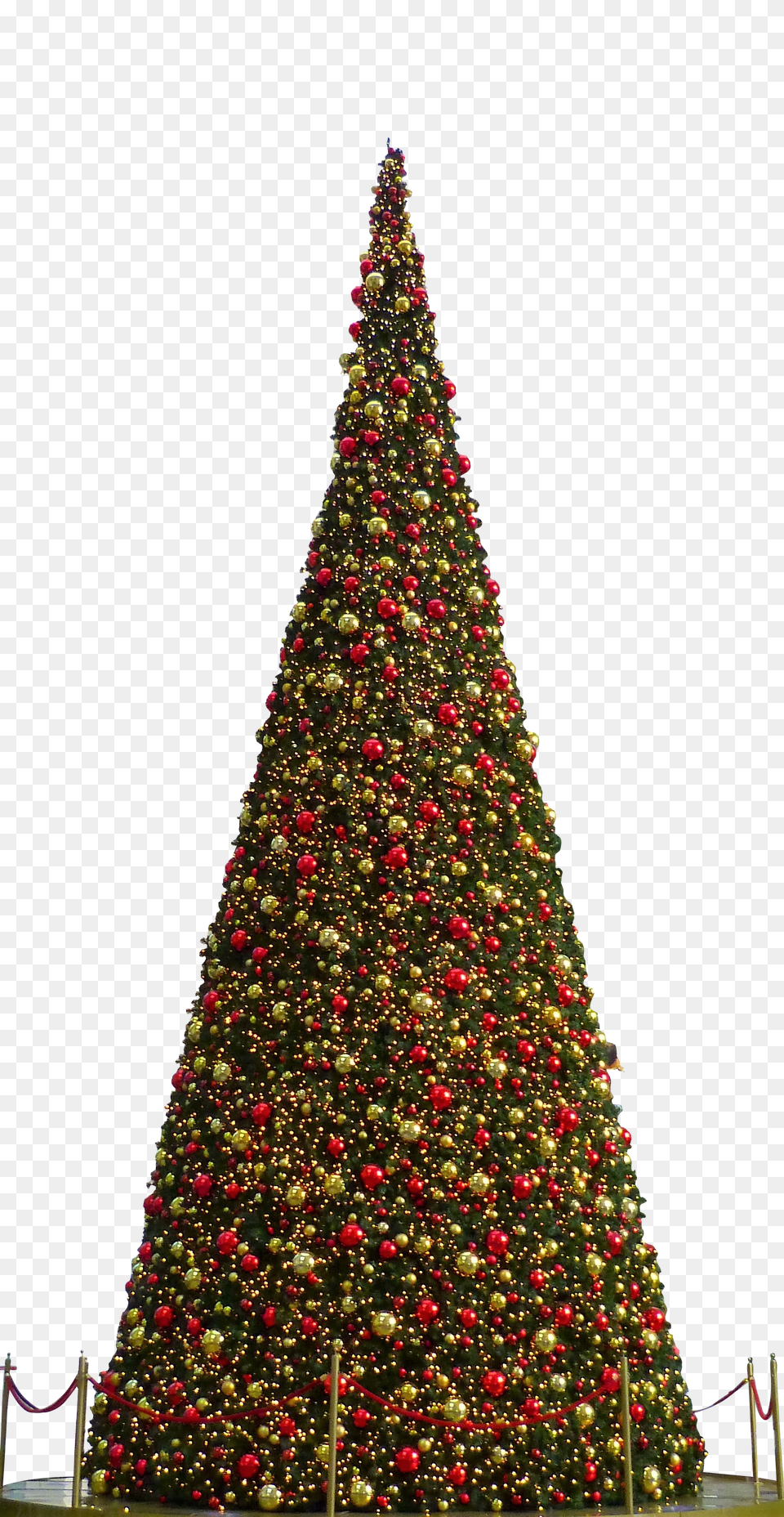 Christmas Clip, Christmas Decorations, Festival, Christmas Tree, Person Png