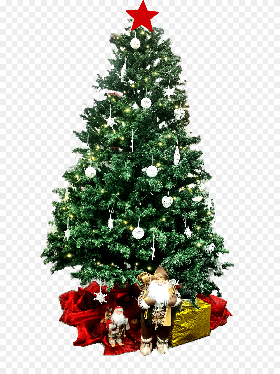Christmas Tree, Plant, Person, Baby Free Png Download