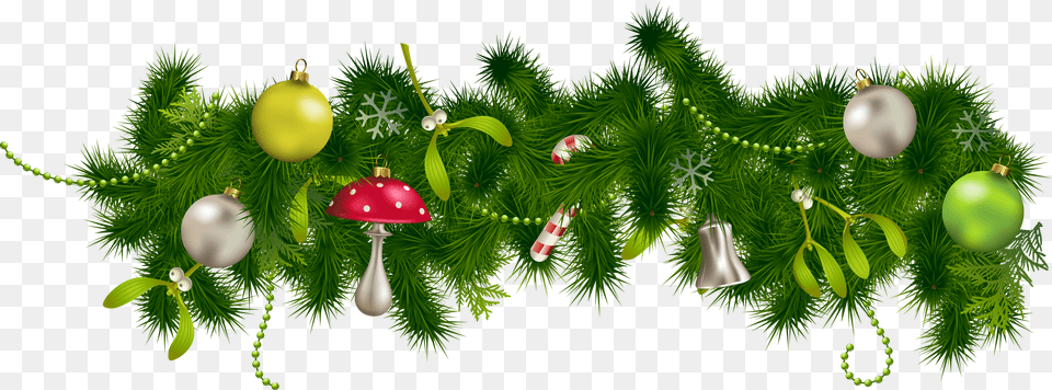 Christmas, Plant, Tree, Conifer, Accessories Png