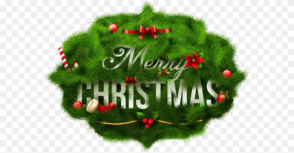 Christmas, Green, Plant Png