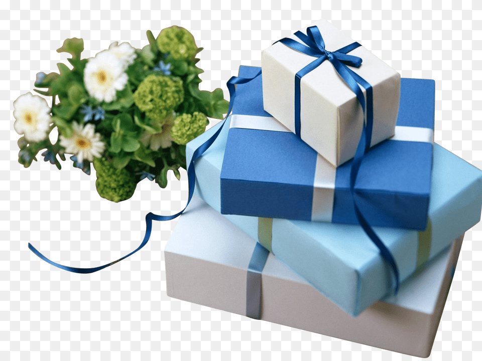 Christmas Clip, Box, Gift, Flower, Plant Png