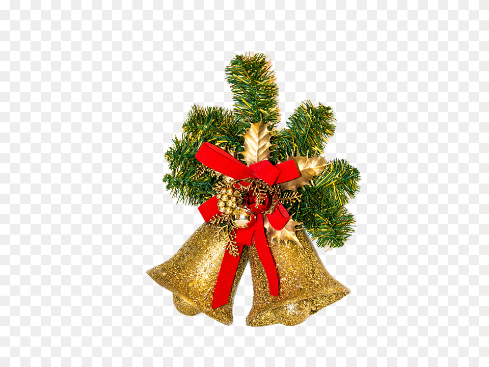 Christmas Chandelier, Plant, Lamp, Tree Free Png