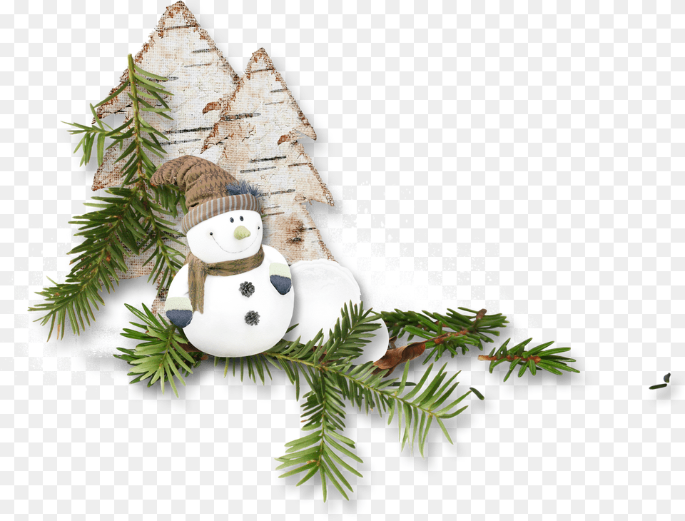 Christmas, Nature, Outdoors, Plant, Tree Free Png